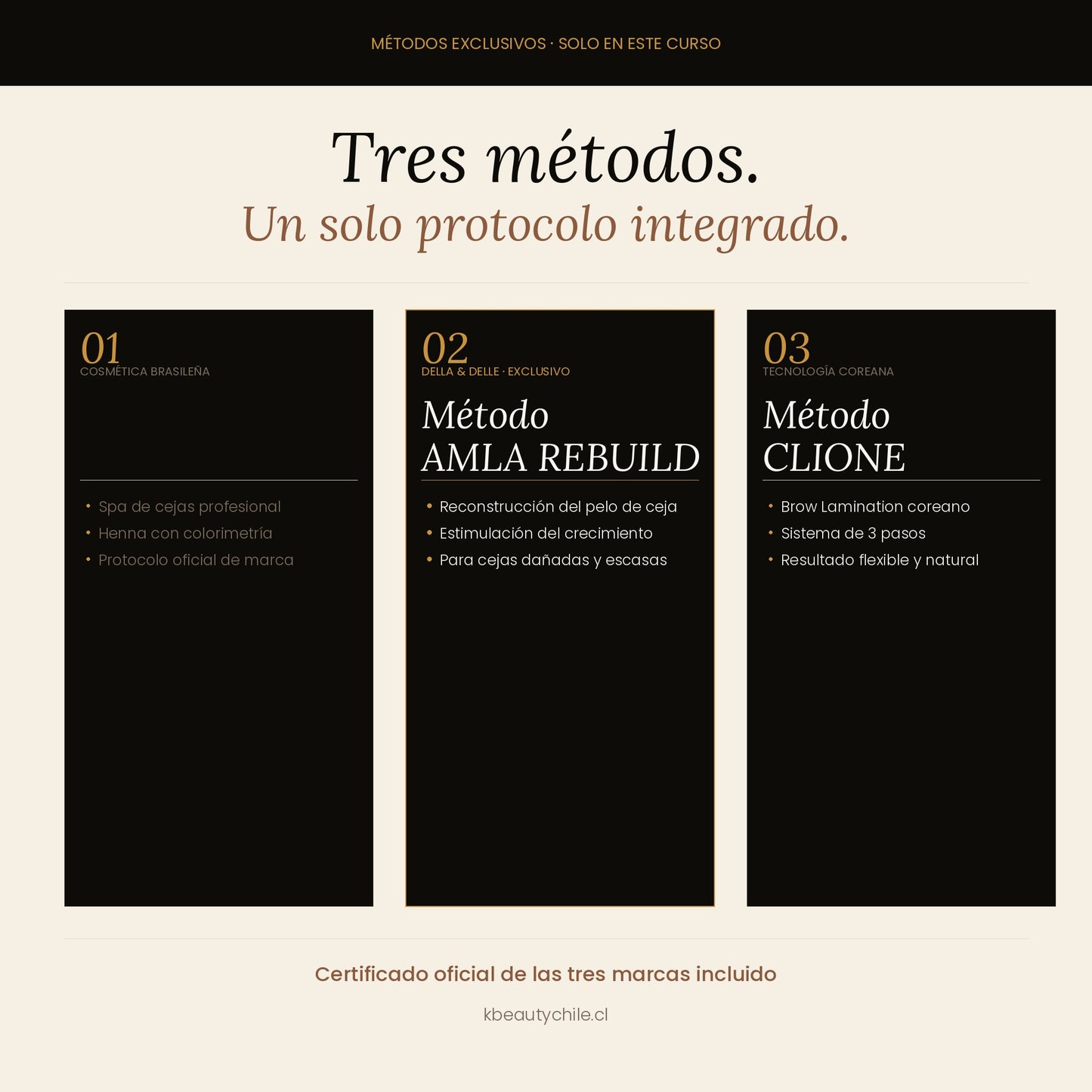 Curso Brow Lamination + Henna de Cejas + Spa de Cejas · Método Exclusivo Della & Delle + Clione · Online y Presencial · Chile