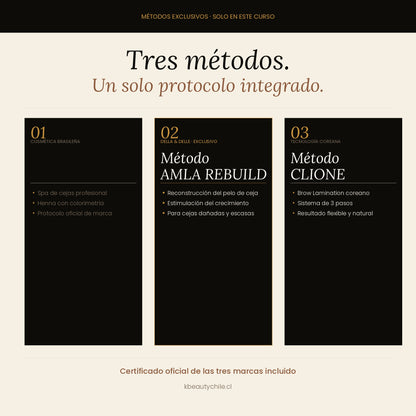 Curso Brow Lamination + Henna de Cejas + Spa de Cejas · Método Exclusivo Della & Delle + Clione · Online y Presencial · Chile