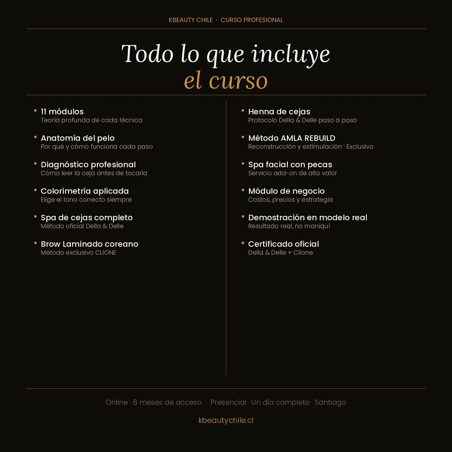 Curso Brow Lamination + Henna de Cejas + Spa de Cejas · Método Exclusivo Della & Delle + Clione · Online y Presencial · Chile