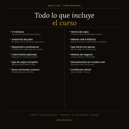 Curso Brow Lamination + Henna de Cejas + Spa de Cejas · Método Exclusivo Della & Delle + Clione · Online y Presencial · Chile