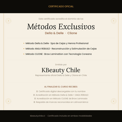 Curso Brow Lamination + Henna de Cejas + Spa de Cejas · Método Exclusivo Della & Delle + Clione · Online y Presencial · Chile